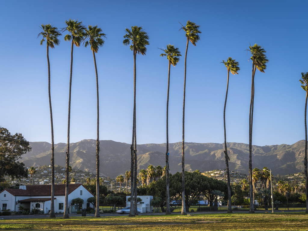Santa Barbara Palm Trees Sunset Southern California Beach … Flickr
