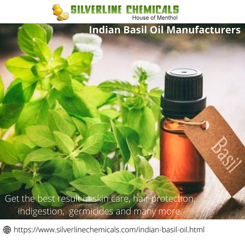 Indian Basil Oil Manufacturers Silverline chemicals is kno… Flickr