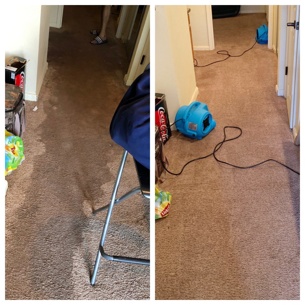 emergency water extraction_68 carpet Cleaners Near Me LLC;… Flickr