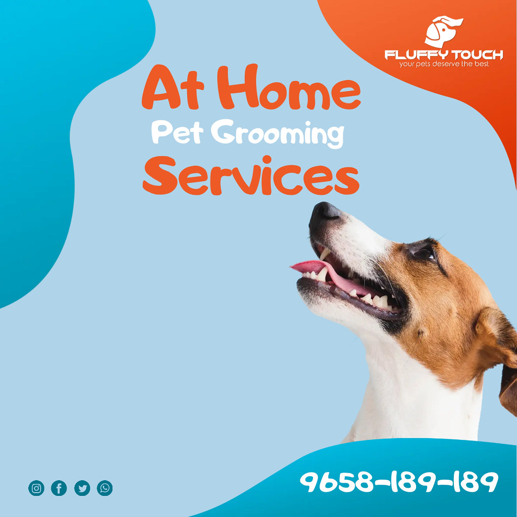 pet grooming home service Fluffy Touch happy to groom and … Flickr