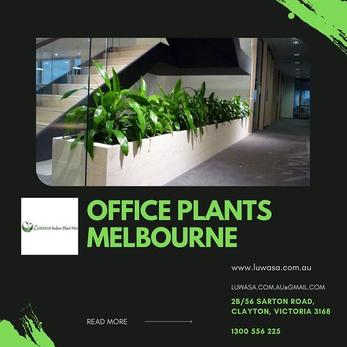 Office Plants Melbourne At Luwasa, we have a wide range of… Flickr
