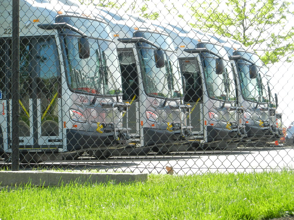 COTA 2201, 2214 Cincinnati NKY Buses Flickr
