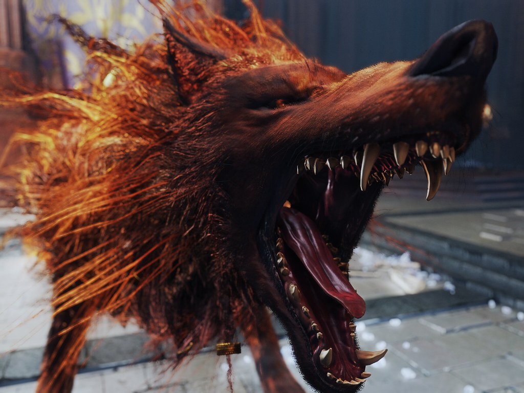 Red Wolf of Radagon 1 thecollegehill Flickr