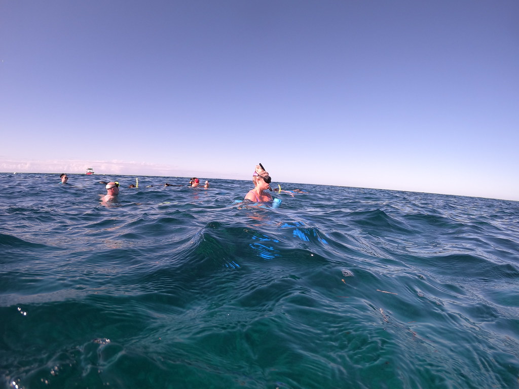 Private Whole Boat Charter Key largo snorkeling (49) Flickr