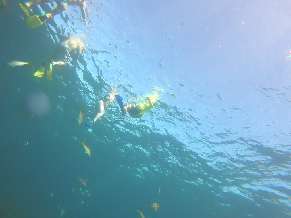 Private Whole Boat Charter Key largo snorkeling (39) Flickr
