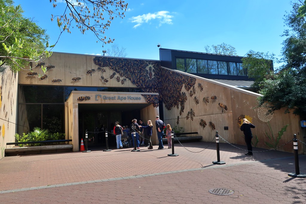 National Zoo Great Ape House a photo on Flickriver