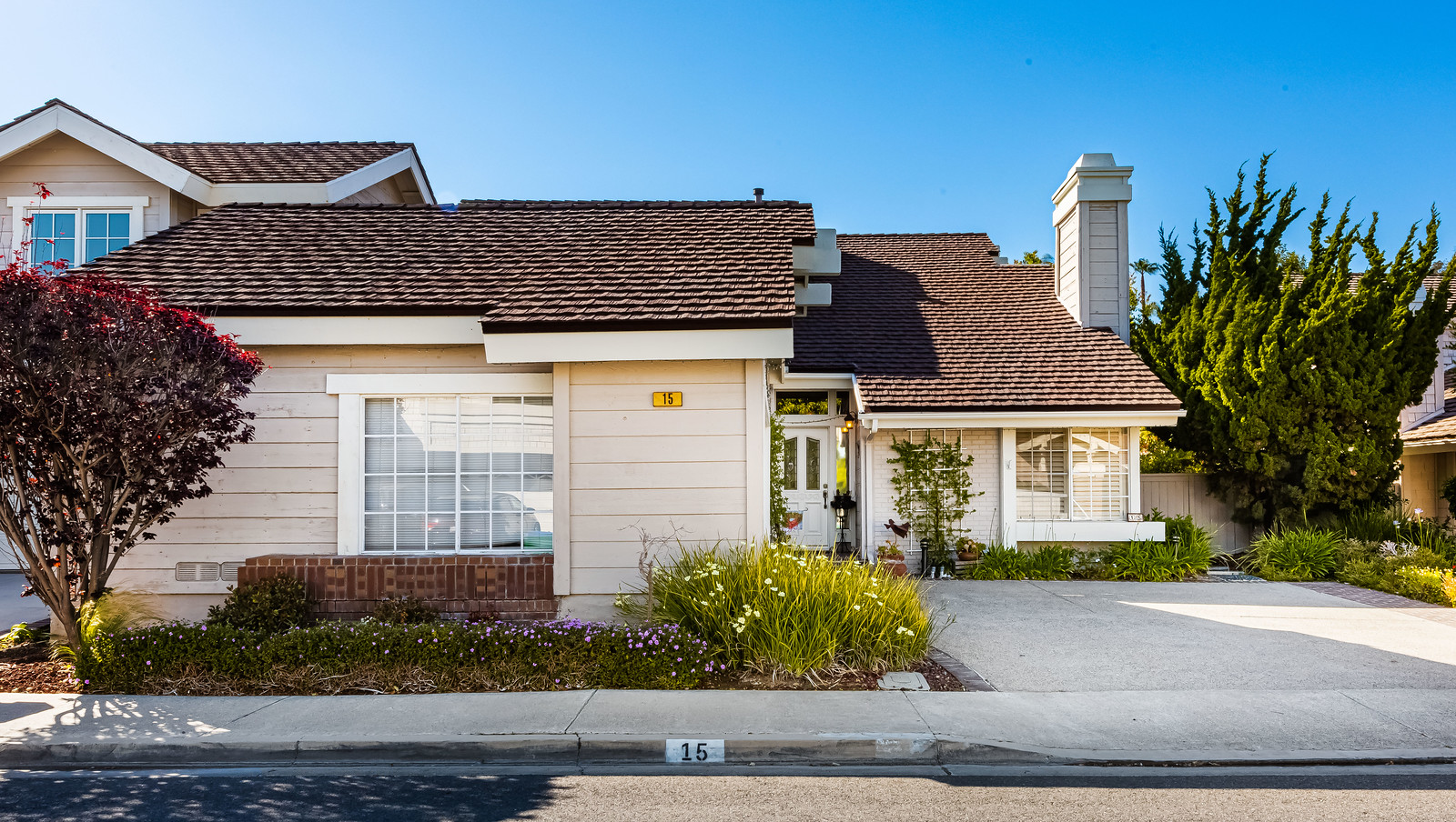 15 Elderberry, Irvine Flickr