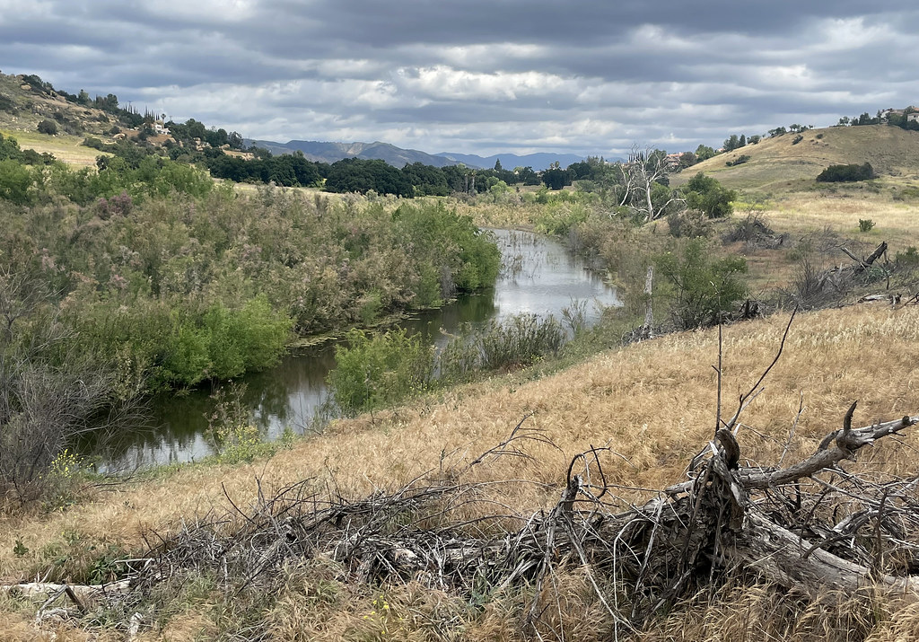 Chatsworth Reservoir Chatsworth Nature Preserve, Chatswort… cowyeow