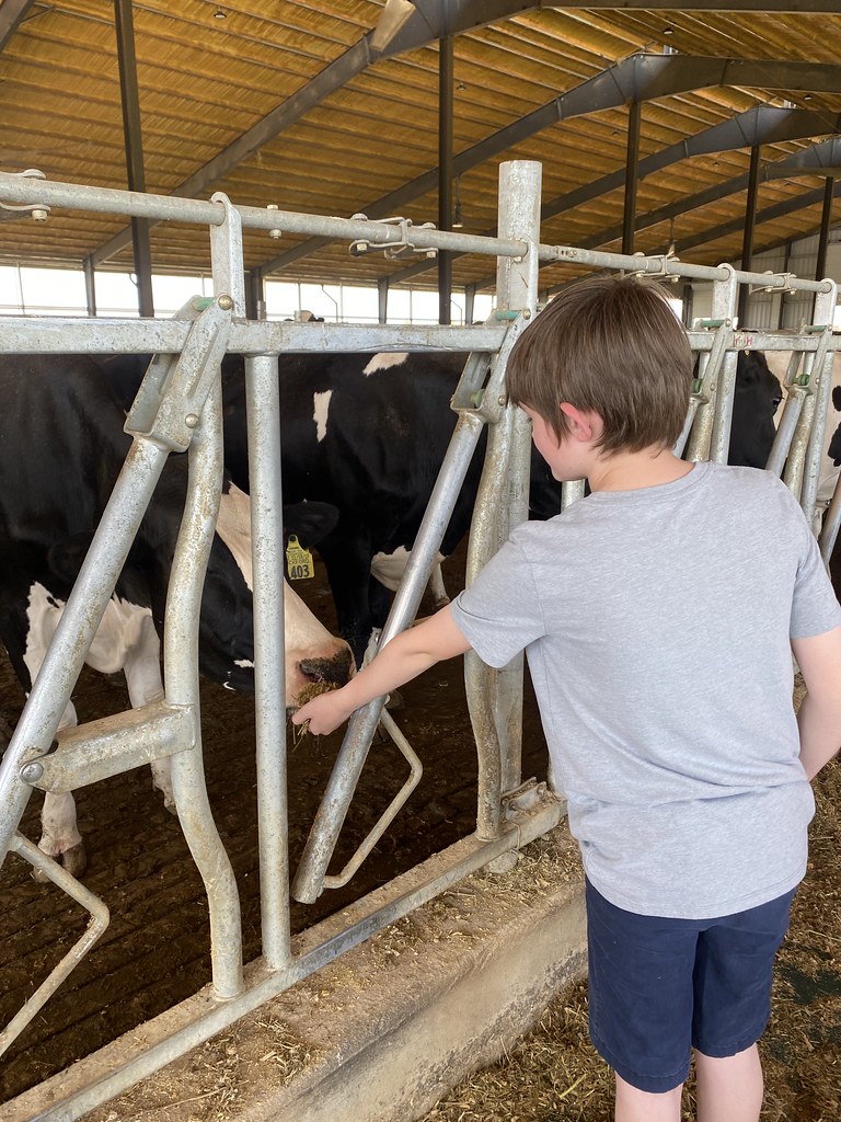 Circle K Farms Abby Siddell Flickr