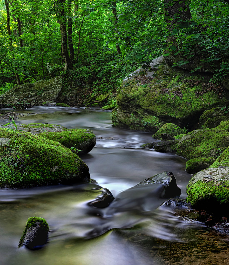 Pacolet River Woody Hoyle Flickr
