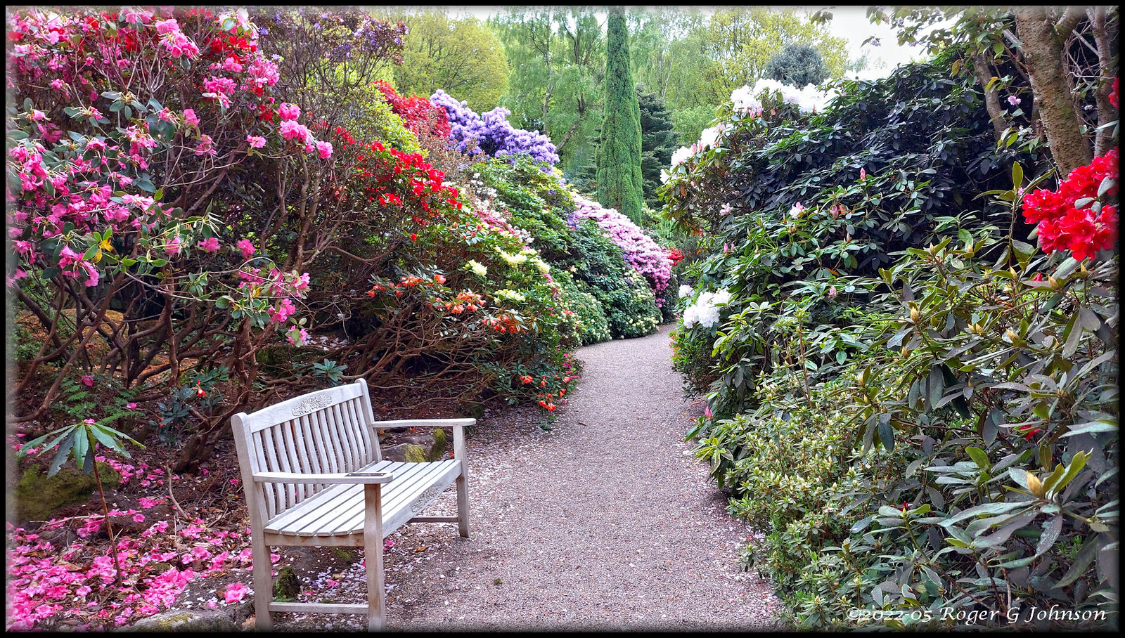 2022 Lea Gardens Flickr