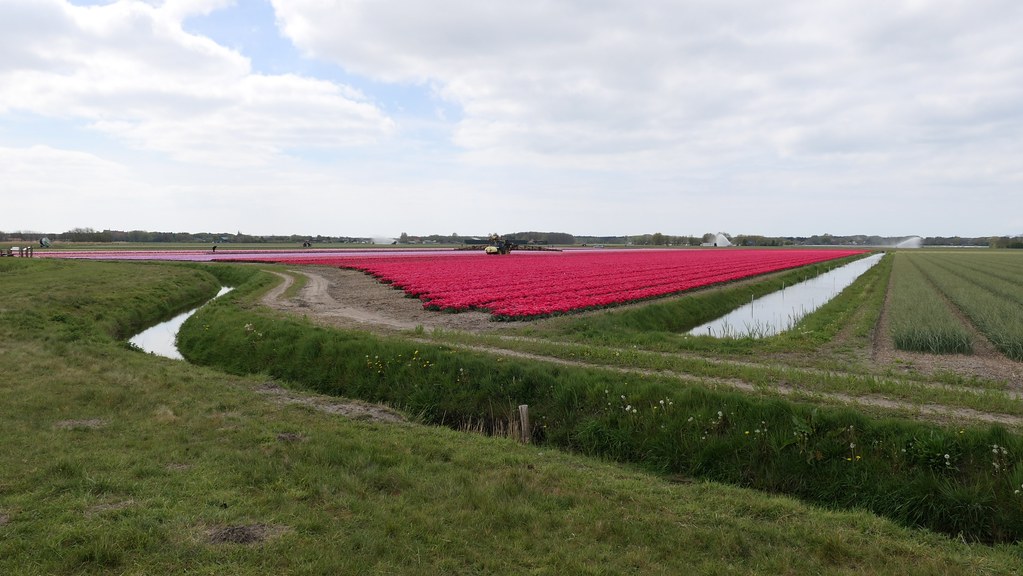 Monnikenpad Egmond Van Cor Daalder