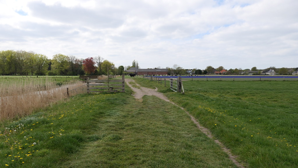 Monnikenpad Egmond Van Cor Daalder