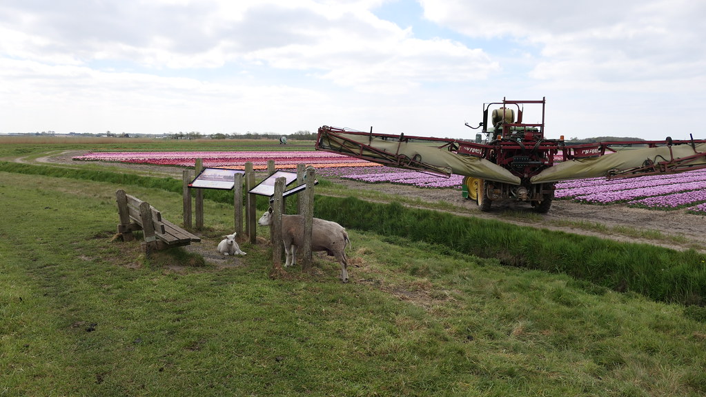 Monnikenpad Egmond Van Cor Daalder