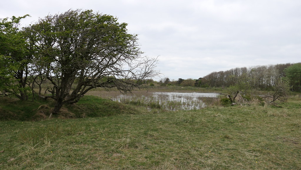 Monnikenpad Egmond Van Cor Daalder