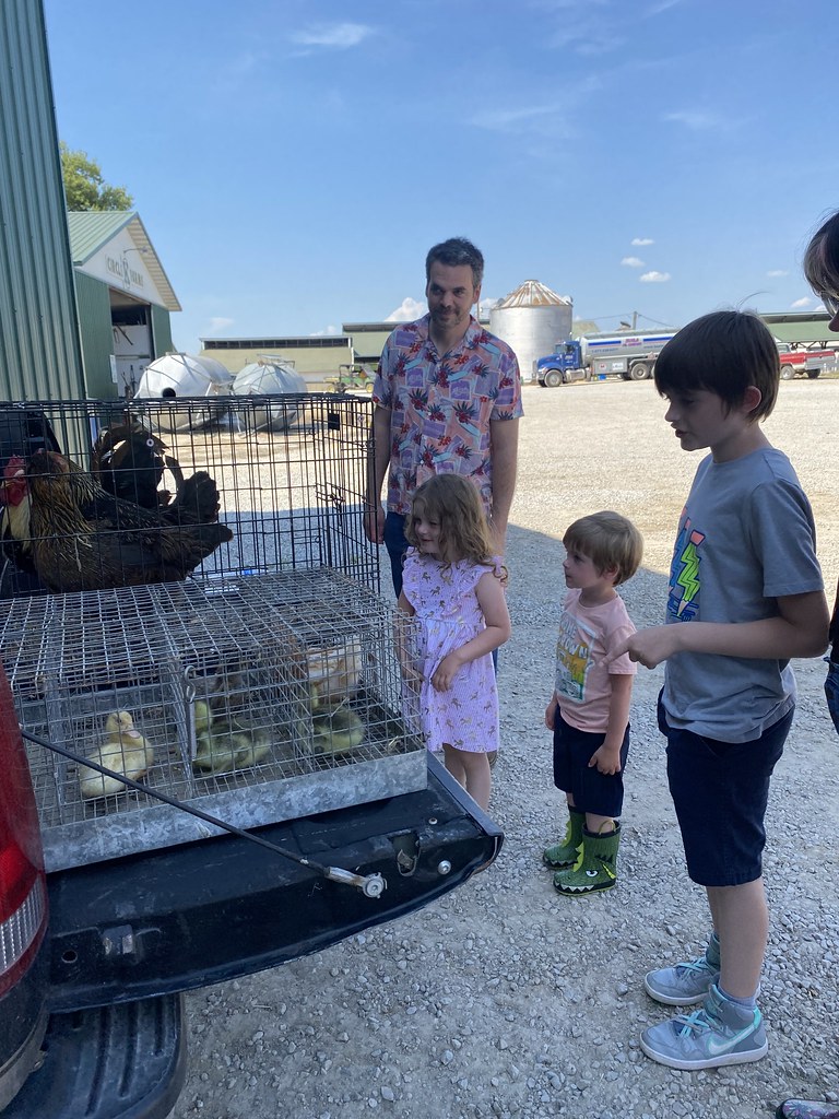 Circle K Farms Abby Siddell Flickr