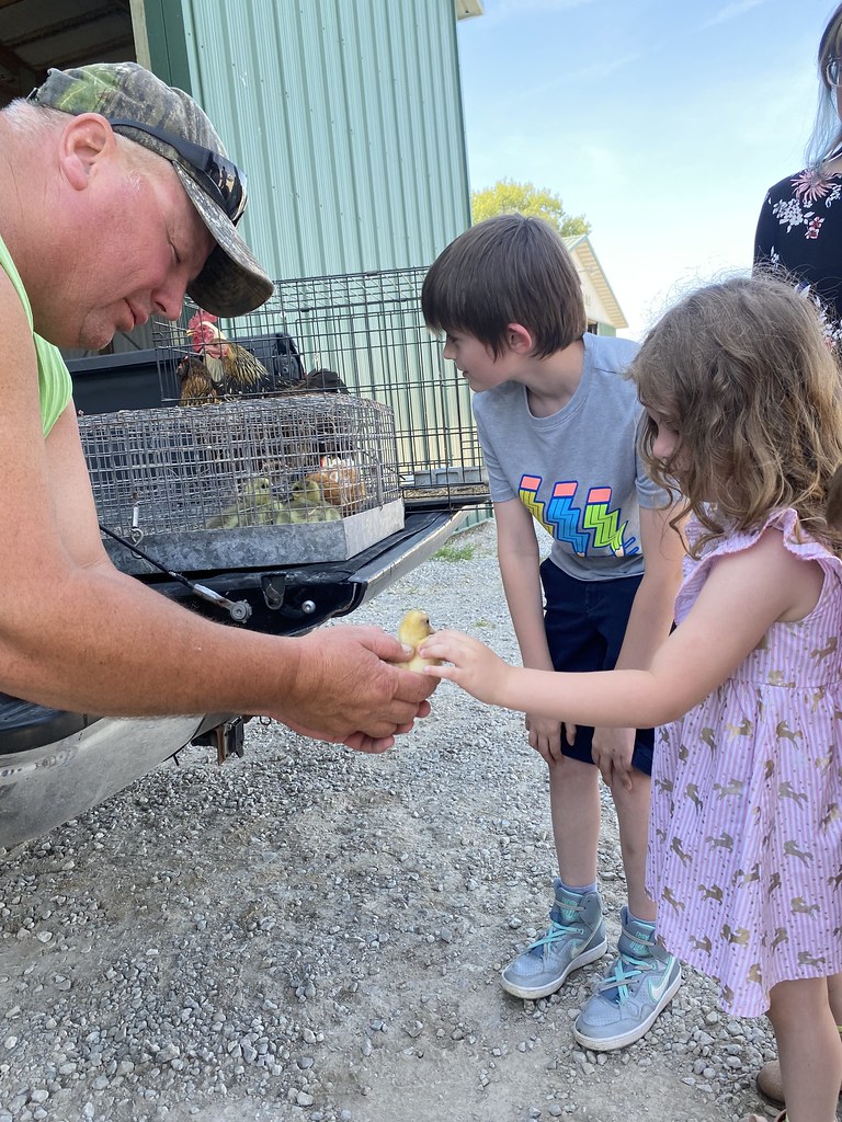 Circle K Farms Abby Siddell Flickr