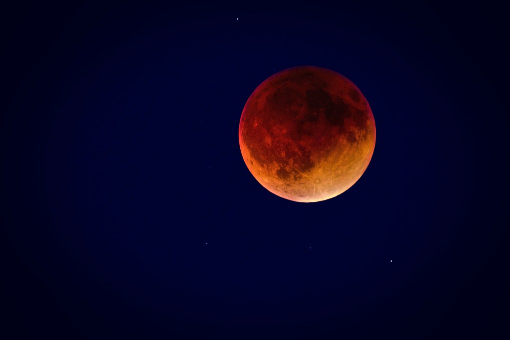 Super Flower Blood Moon Total Eclipse This amazing eclipse… Flickr
