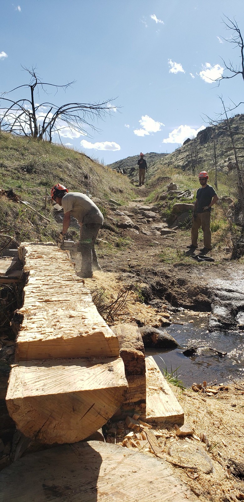 hewlett bridge 2022 crossing 16 Flickr