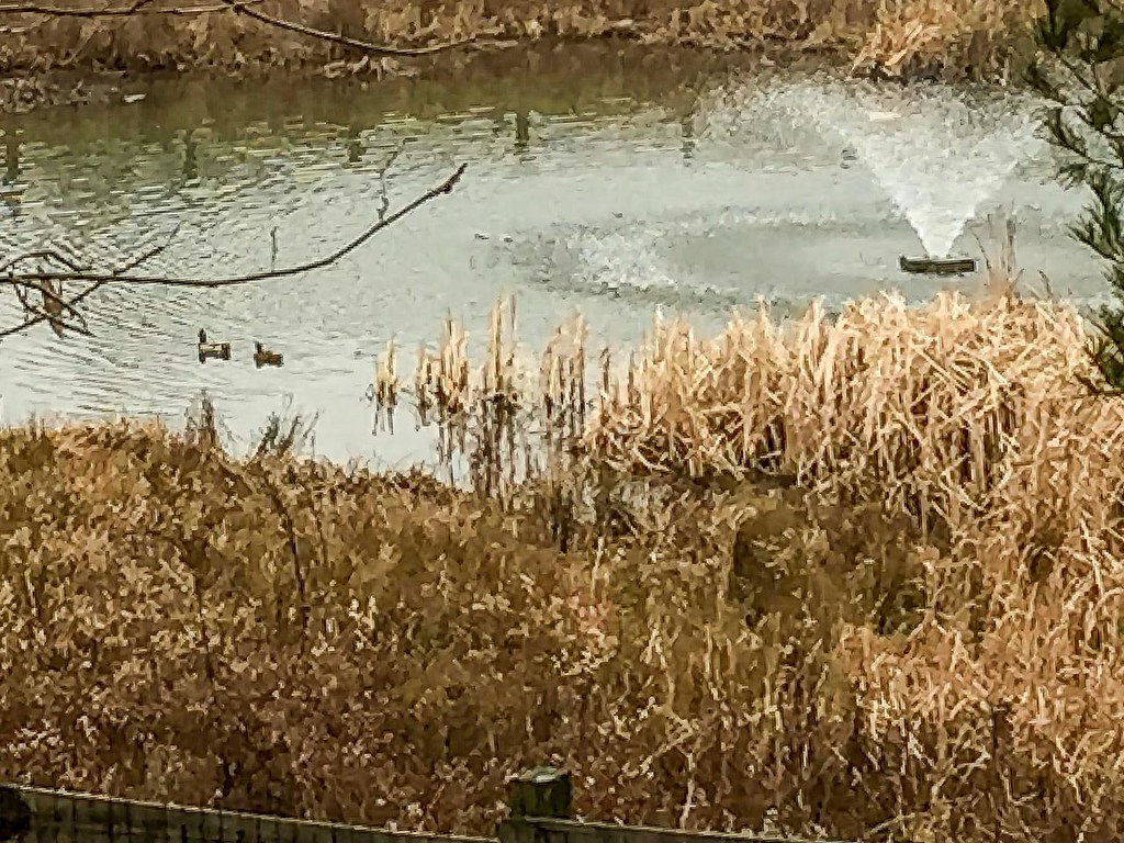 67F27CAB2DBD4E6B810107754B96674F Robin Tate Flickr