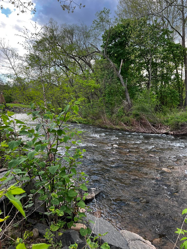 0136_2022_Lake Glory Campground Catawissa PA_Knoebels Flickr