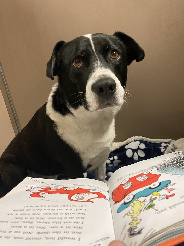 Untitled Greenlin Camp Hill Flickr