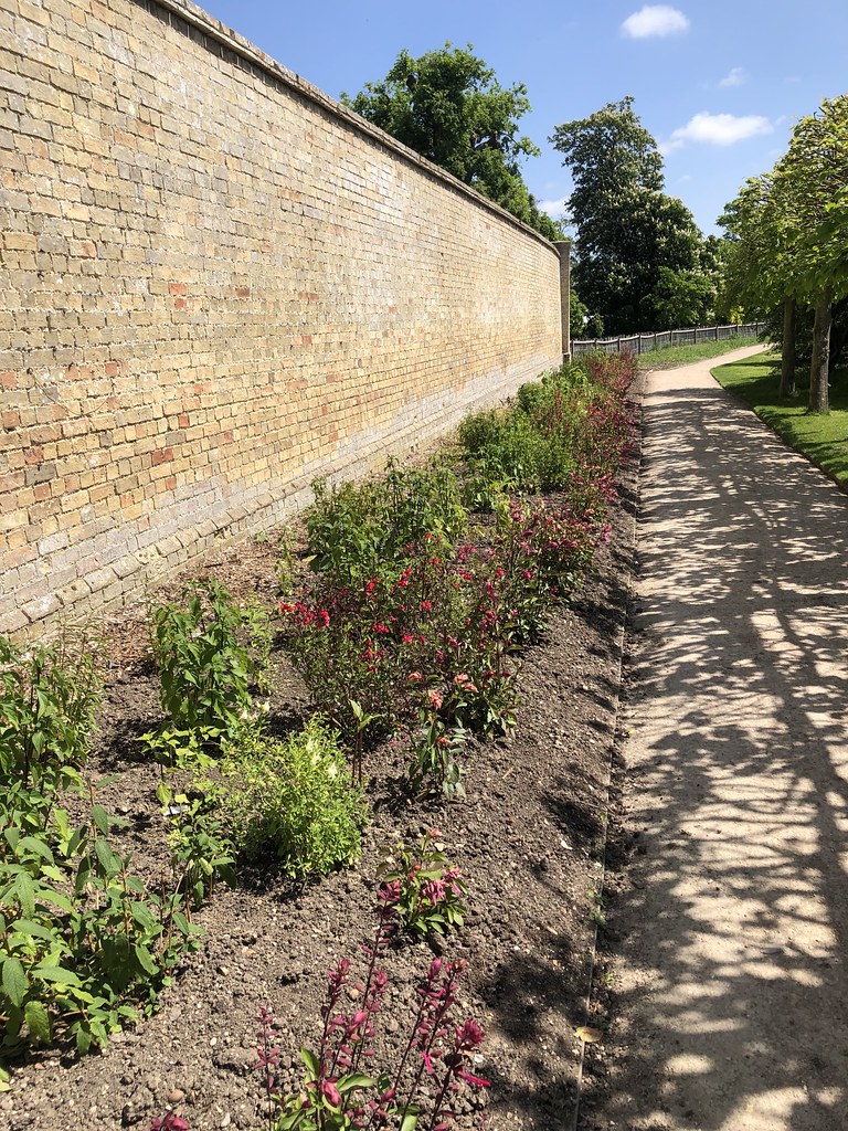 WIMPOLE ESTATE, ROYSTON, CAMBRIDGESHIRE 17th May 2022 www.… Flickr