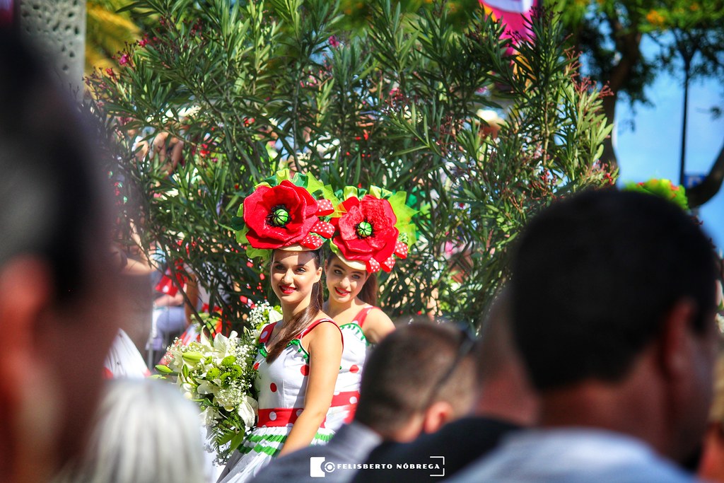 MADEIRA FLOWER CLASSIC AUTO PARADE 2022 a photo on Flickriver