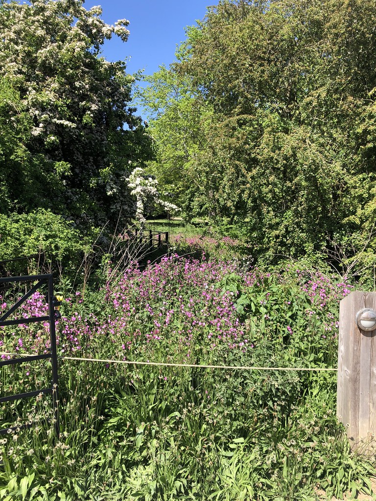 WIMPOLE ESTATE, ROYSTON. CAMBRIDGESHIRE 17th MAY 2022 www.… Flickr