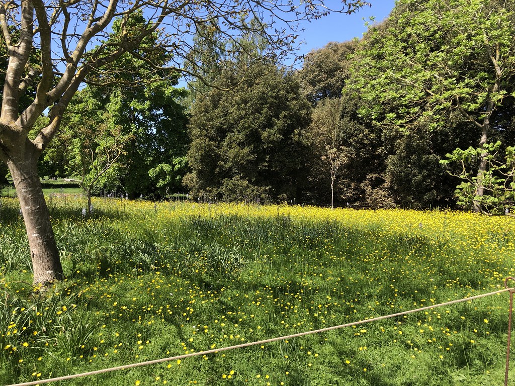 WIMPOLE ESTATE, ROYSTON, CAMBRIDGESHIRE 17th MAY 2022 www.… Flickr