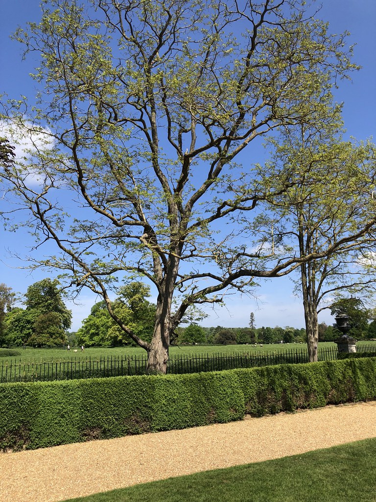WIMPOLE ESTATE, ROYSTON, CAMBRIDGESHIRE 17th MAY 2022 www.… Flickr