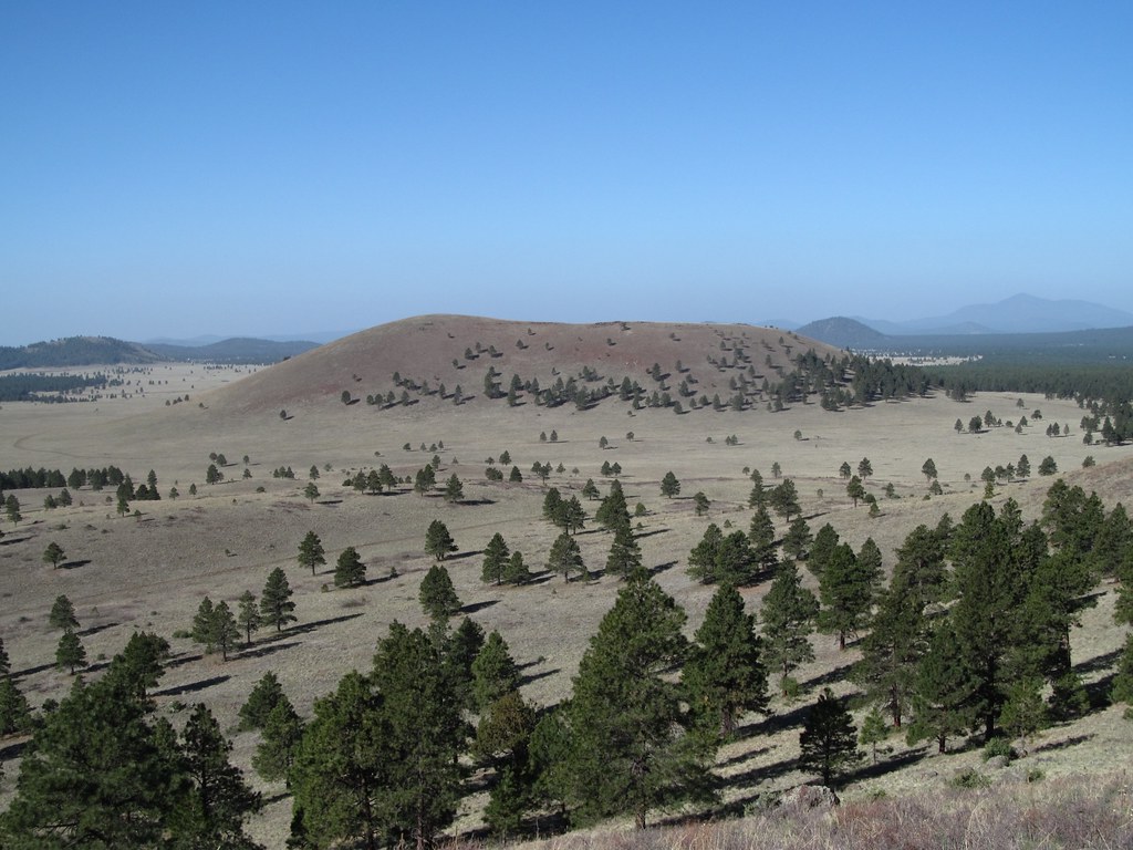 South Government Knoll David Carmody Flickr