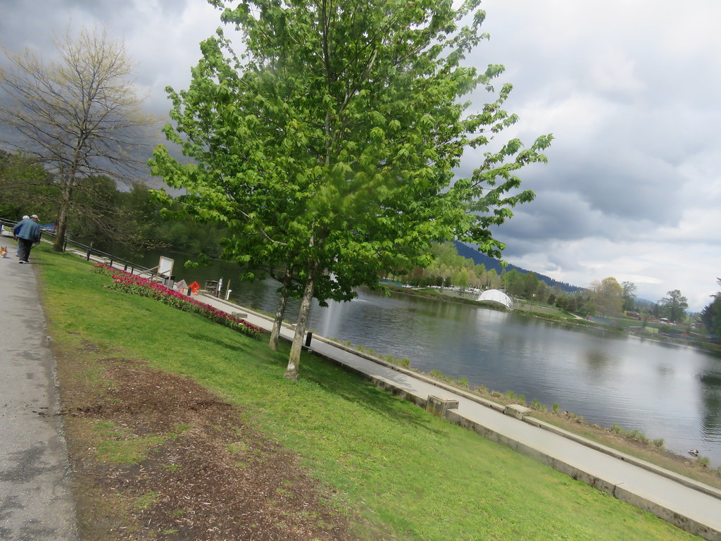 IMG_9871 Lafarge Lake at Town Centre Park Andy Nystrom Flickr