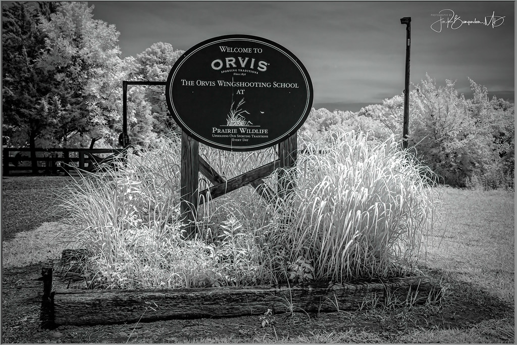 Prairie_Wildlife_West, Point, MS19.jpg Images captured by… Flickr