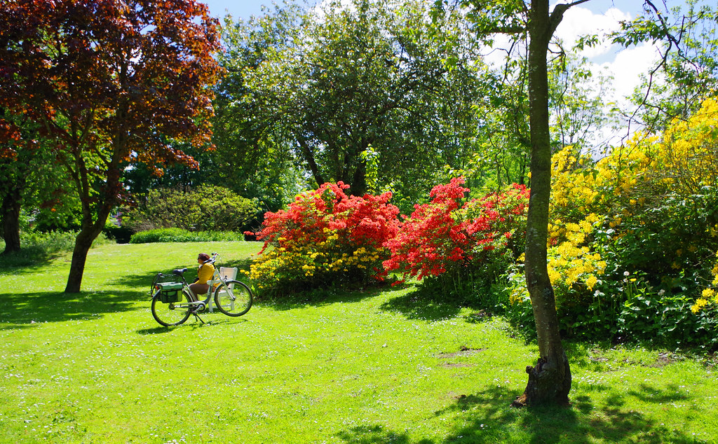 Im Malmesbury Park Sonntagsspaziergang Paul H. Petersen Flickr