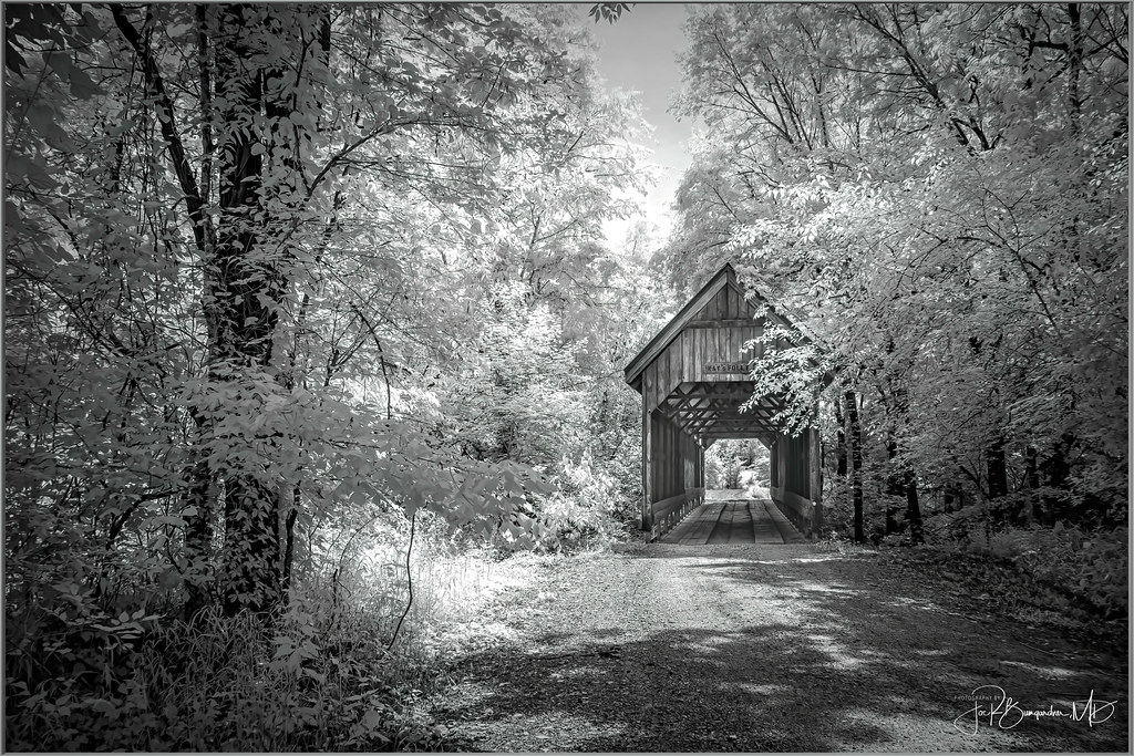 Prairie_Wildlife_West, Point, MS21.jpg Images captured by… Flickr