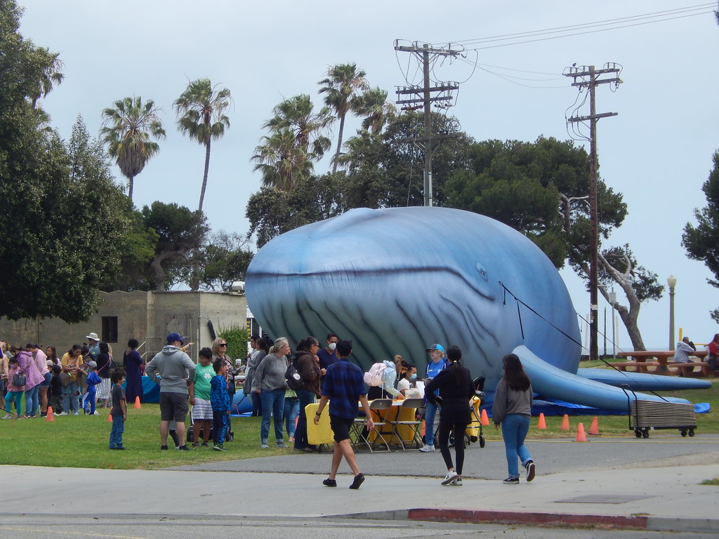 Cabrillo Beach and Aquarium on Endangered Species Day Flickr