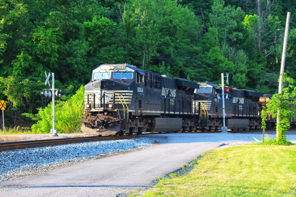 Norfolk and Southern Marrowbone/Lenore Branch Flickr