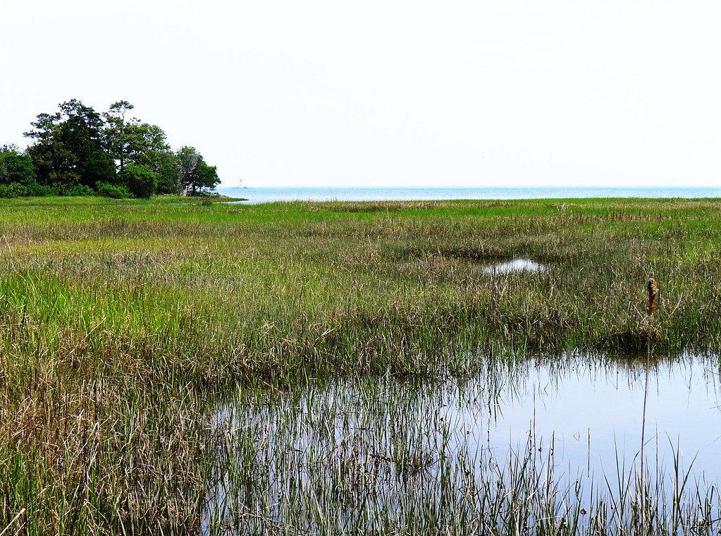 Tour de Chesapeake Orange Route Steve Palincsar Flickr