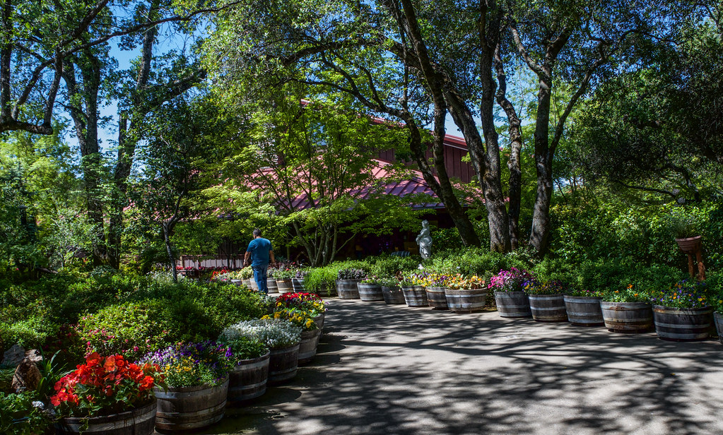 Ironstone Winery & Heritage Museum Murphys, California May… Flickr