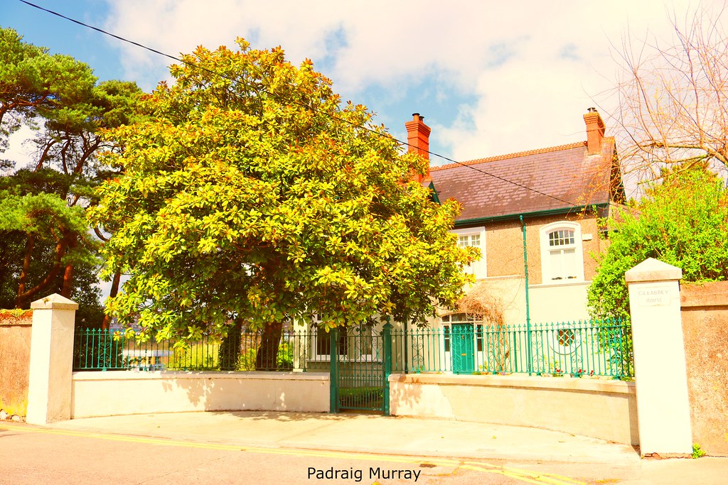 IMG_2074n Gillabbey House, Connaught Avenue Cork City. avair1984