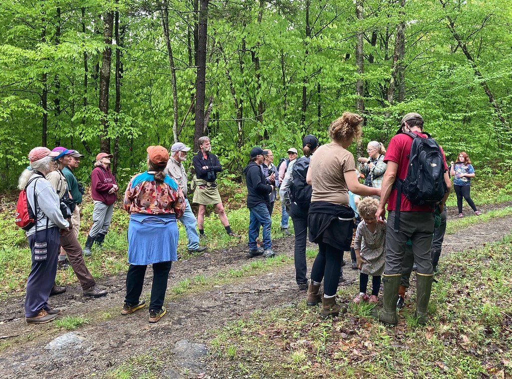 image1 (1) Birding with the Diva Barred Woods, Belvidere M… Flickr