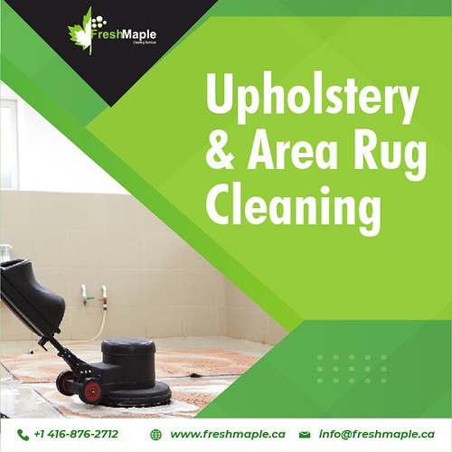 Why Is Professional Upholstery Area Rug Cleaning Important… Flickr