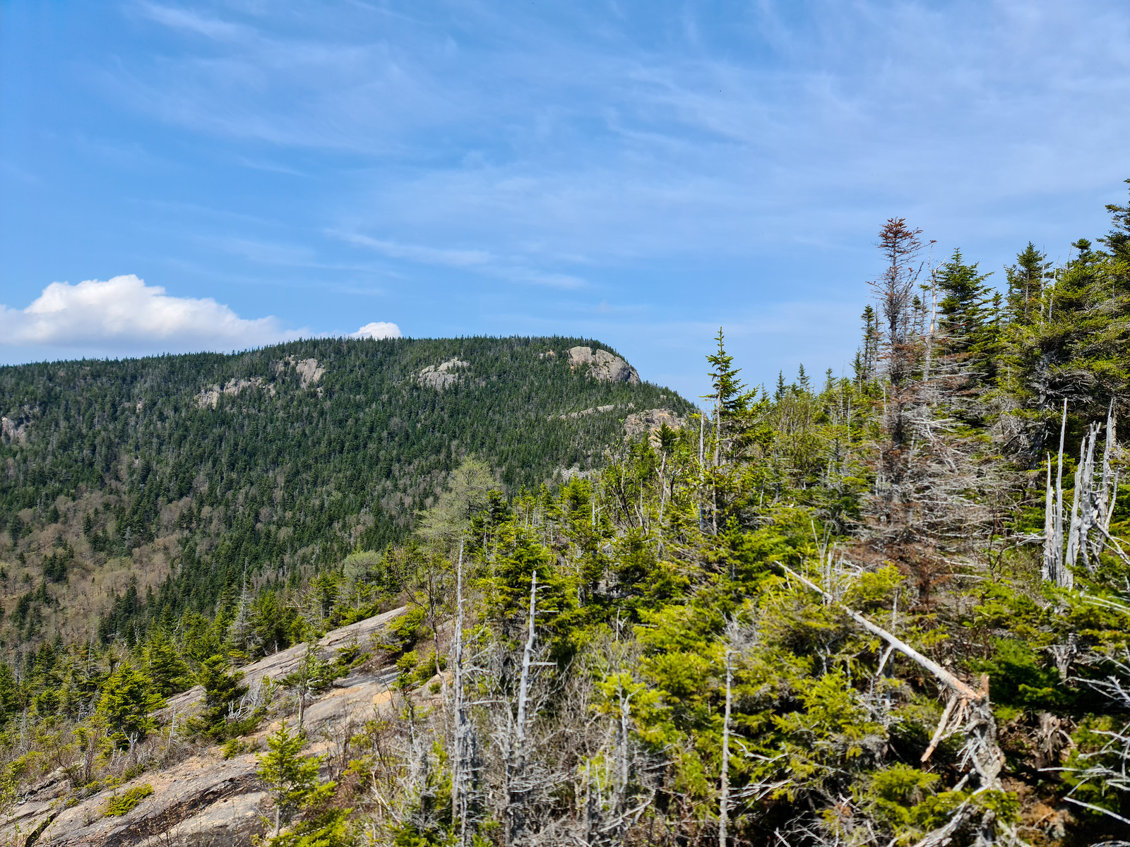 Crawford, Stair, Resolution, Parker & Oak Ridge 2022 Francois Soucy