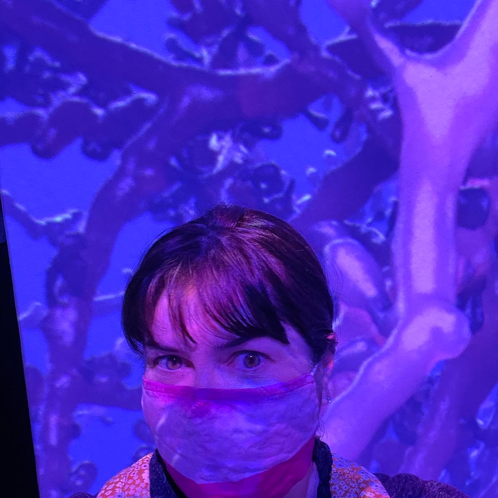 MD dump Michelle Hausman Flickr