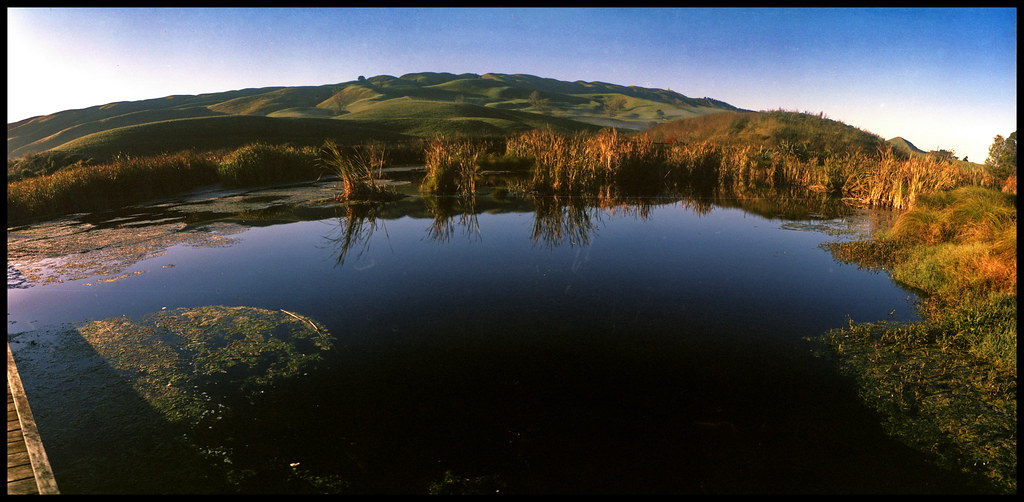 Pekapeka Regional Park 02 Hastings. Konica Impressa 50 Flickr