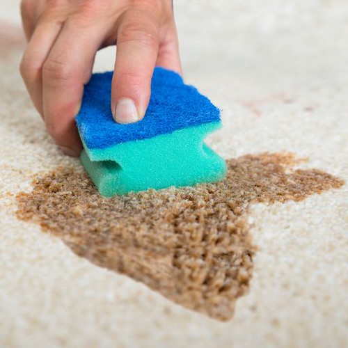 Exceptional Carpet Cleaning in Richmond in Your Budget Flickr