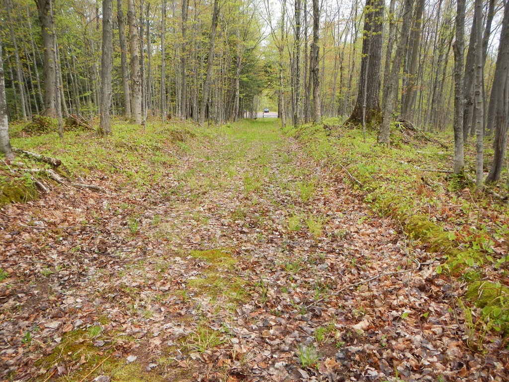 DSCN6588 Deer Yard trail, looking down a big hill towards … Flickr
