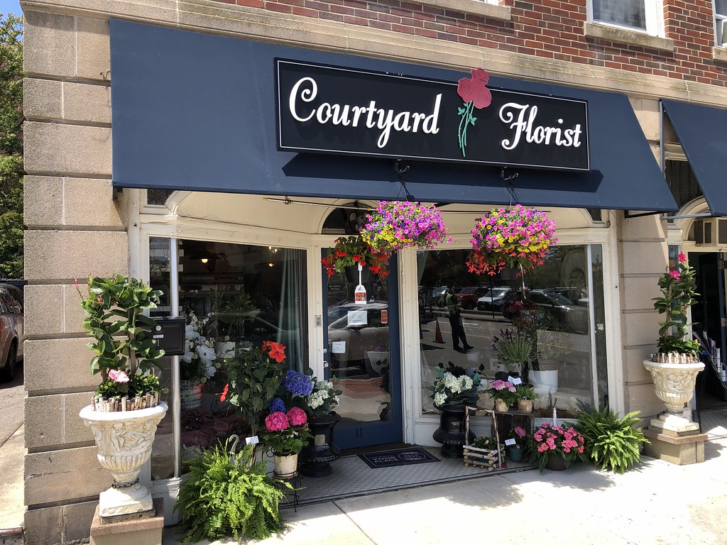 Florist Dedham, MA Jeff...... Flickr