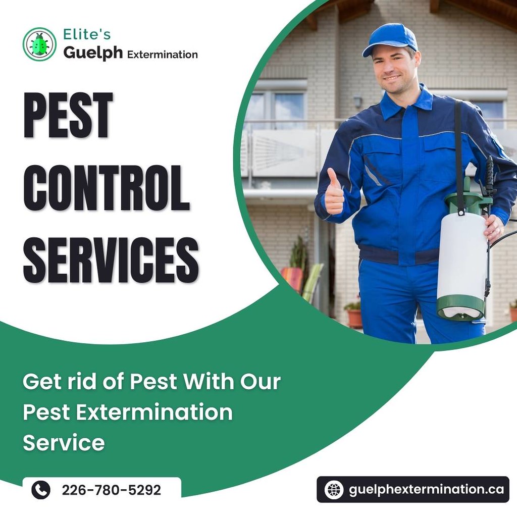 Pest Control Services Guelph From bedbugs to cockroaches e… Flickr